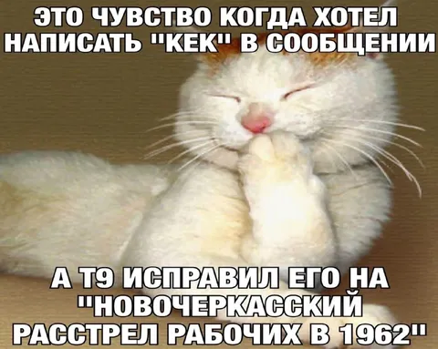 Кот исправляет кек на трагедию