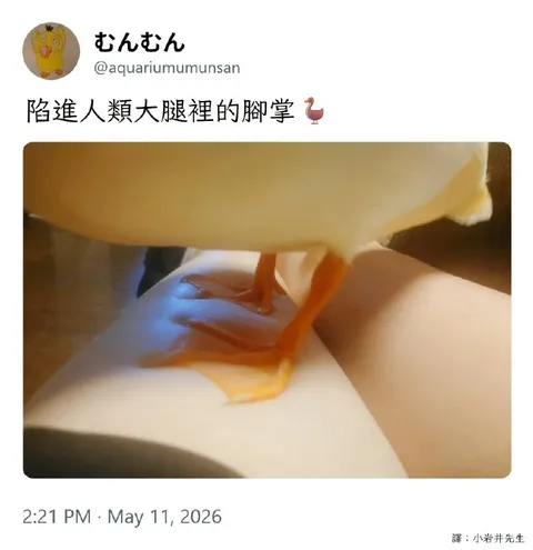 陷進人類大腿裡的腳掌