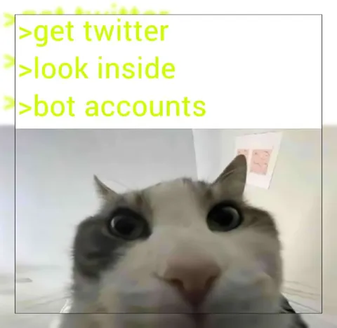 Get Twitter Bot Accounts