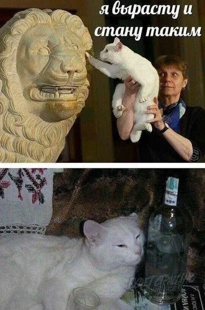 Я вырасту и стану таким