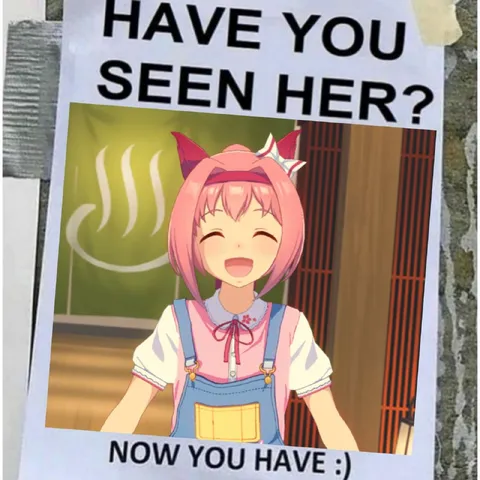Have You Seen Her? Now You Have