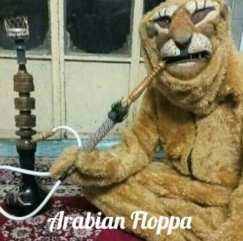 Arabian Floppa Smoking Hookah