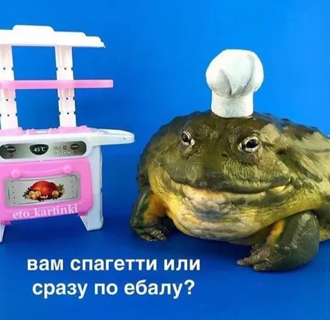 Вам спагетти или сразу по ебалу