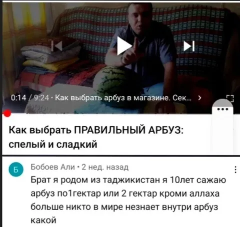 Как выбрать правильный арбуз