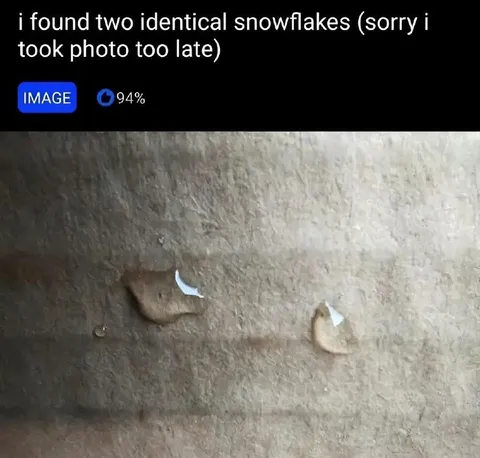 Identical Snowflakes Too Late