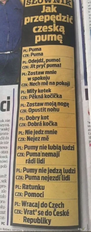Jak przepędzić czeską pumę