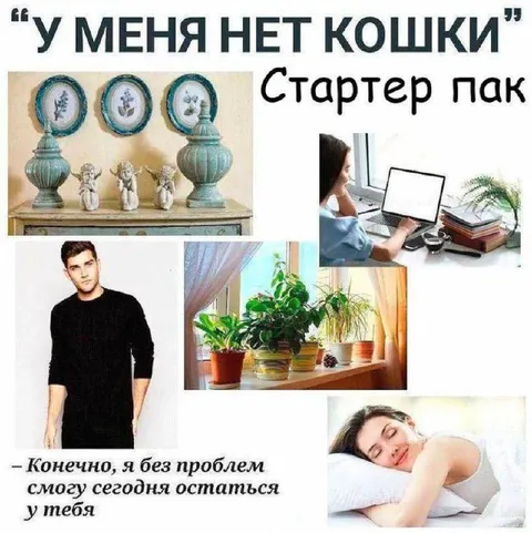 У меня нет кошки стартер пак