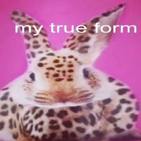My True Form Frog