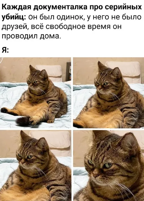Я после документалки о серийных убийцах