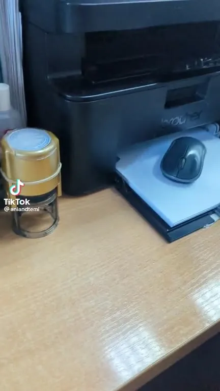 Принтер распечатал мышку