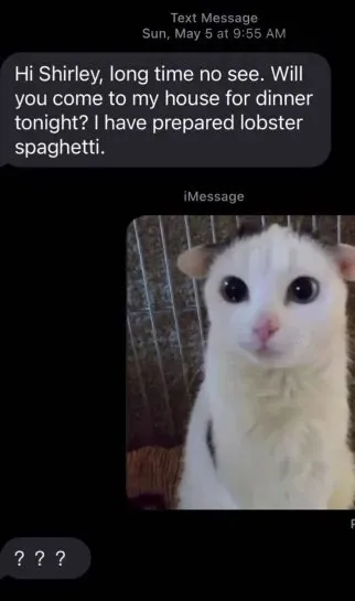 Confused Cat Says ???