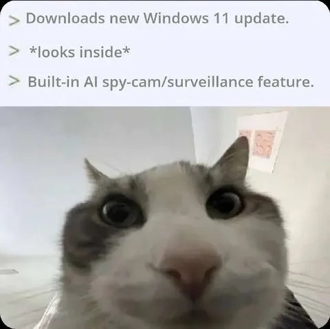 Windows 11 Spy Cam Update