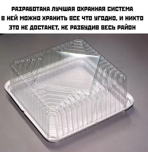 Лучшая охранная система