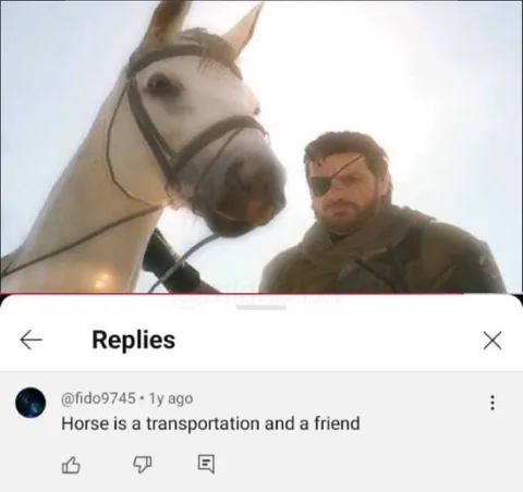 Horse Is Transportation and a Friend