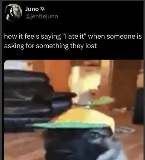 I Ate It Excuse