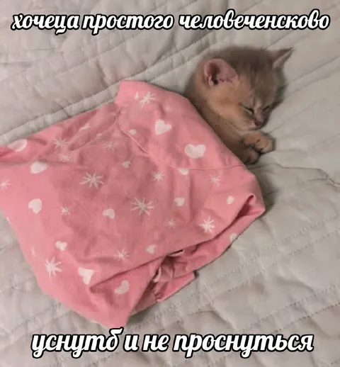 Хочется простого человеческого