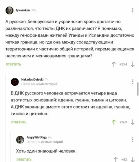 Четыре основания ДНК
