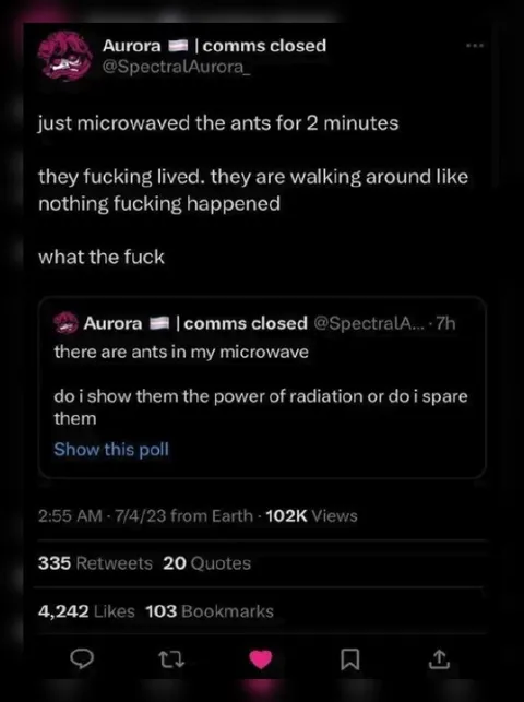 Microwaved Ants Survive
