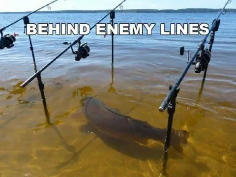 Fish Behind Enemy Lines
