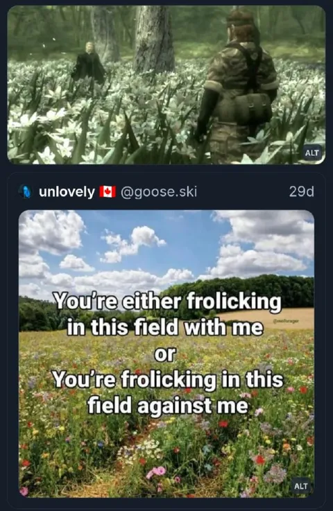 Frolicking With Me or Against Me