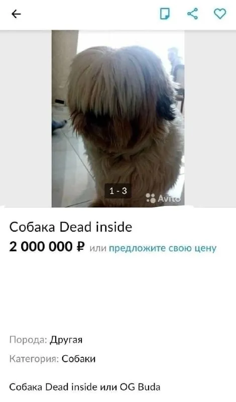 Собака Dead inside за 2 миллиона