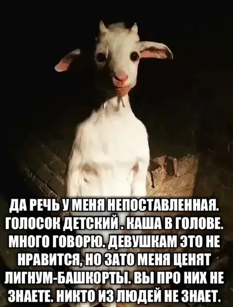 Коза и лигнум-башкорты
