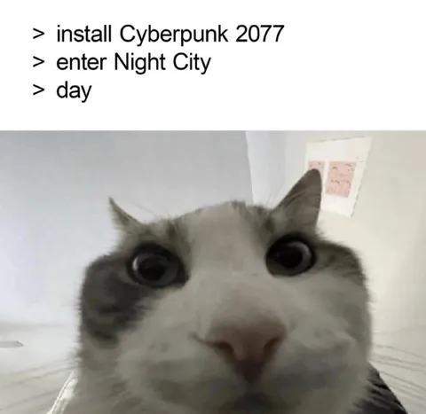 Cyberpunk 2077 Cat Reaction