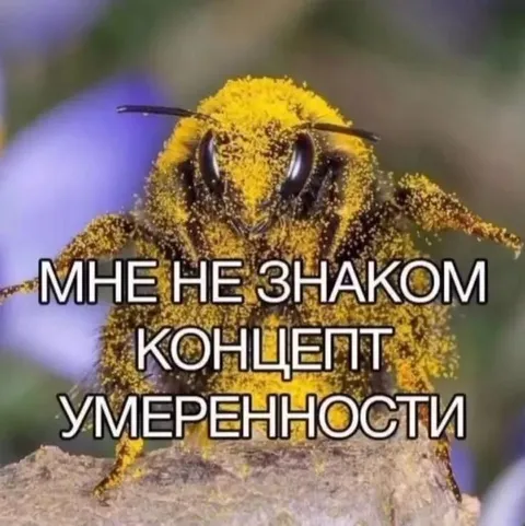Пчела не знает умеренности