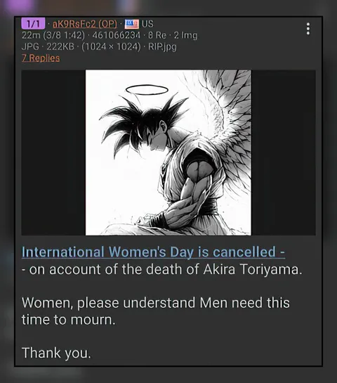 International Women's Day Cancelled
