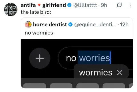 The Late Bird Has No Wormies