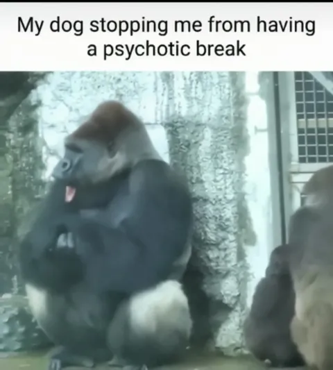 Dog Stops Psychotic Break