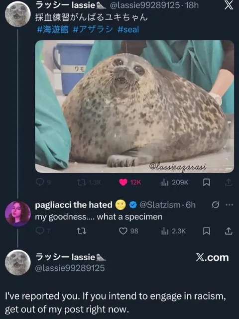 アザラシを見て人種差別扱い
