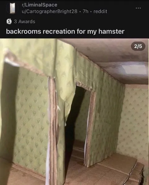 Backrooms Recreation for My Hamster