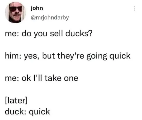 Duck Takes “Quick” Literally