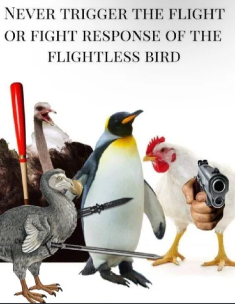 Never Trigger the Flightless Bird