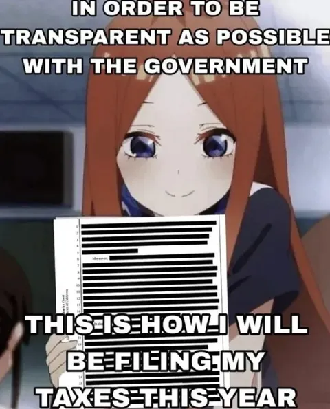 Transparent Government Tax Filing