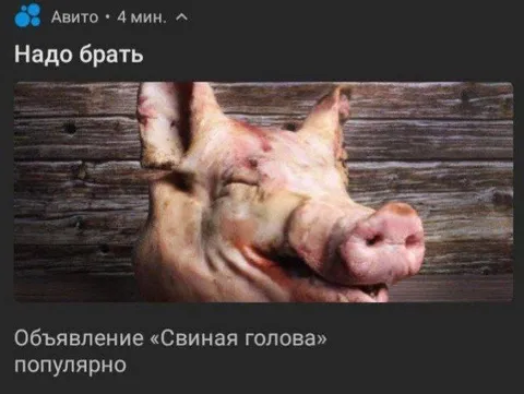 Надо брать свиную голову