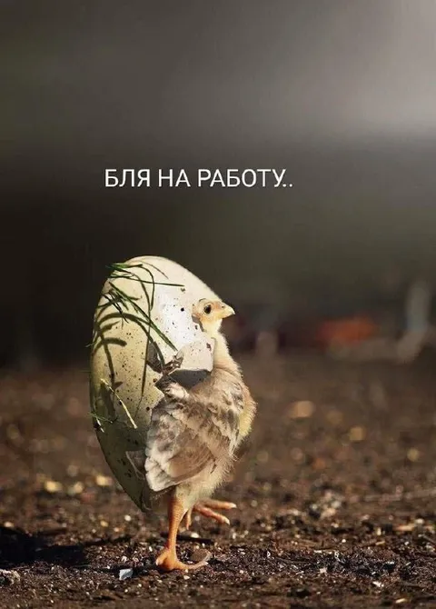 Бля, на работу