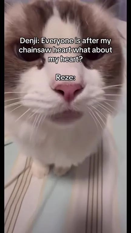 Reze Cat Wants Your Heart