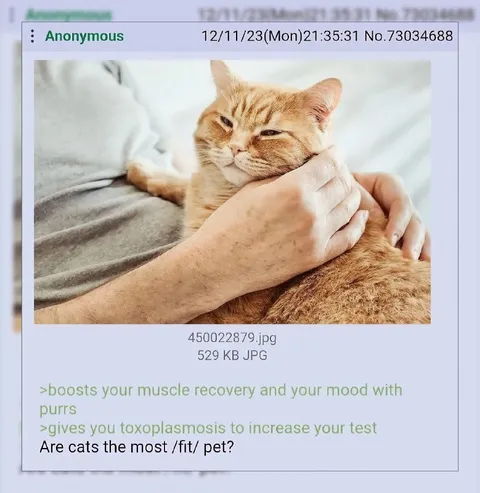Are Cats the Most Fit Pet?