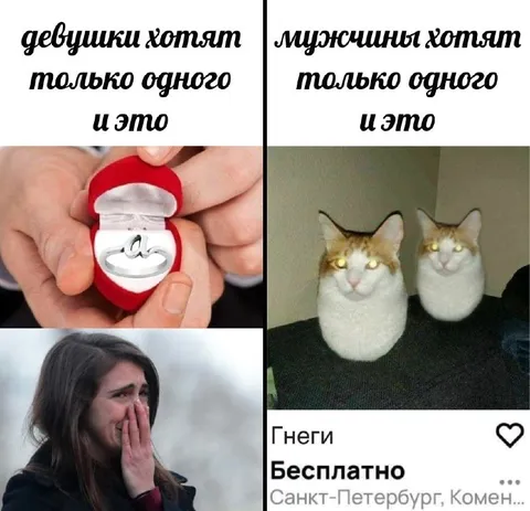 Девушки и мужчины хотят одного