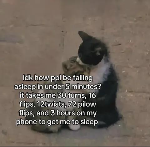 Cat Can't Fall Asleep