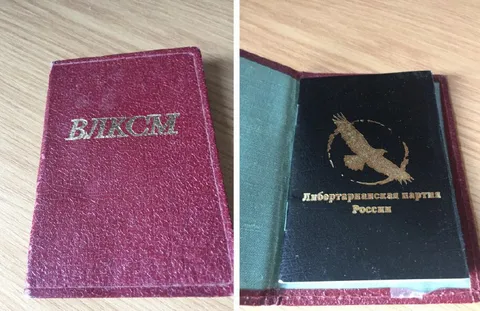ВИКСИЛ либертарианская партия