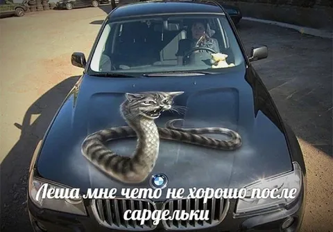 Кот-змея после сардельки