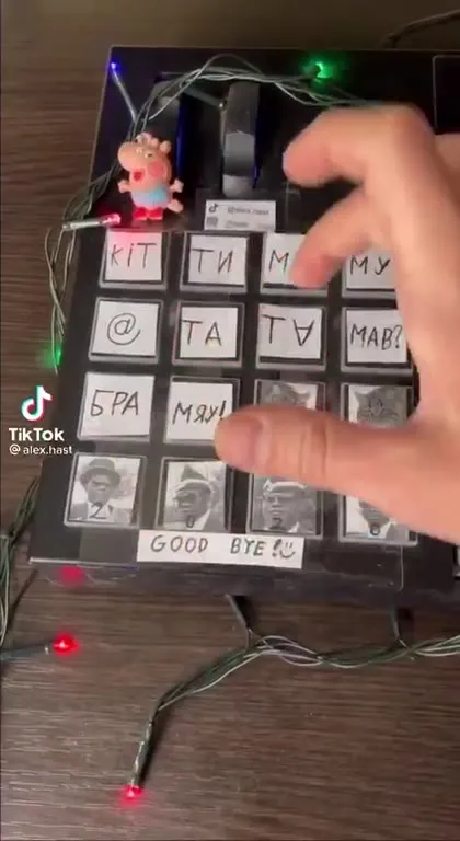 Кот играет на самодельном синтезаторе