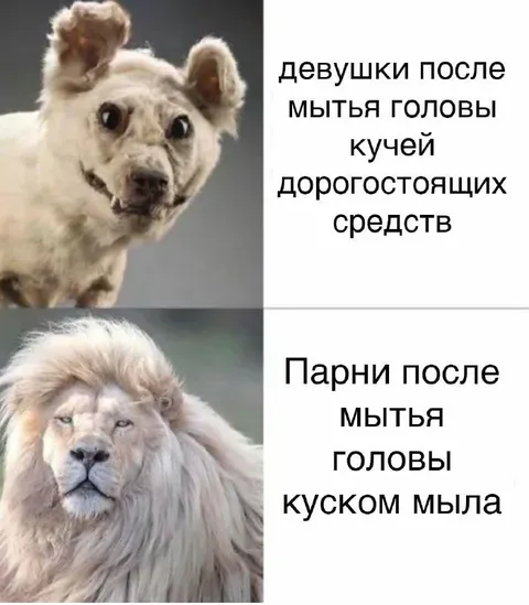 Девушки и парни после мытья головы