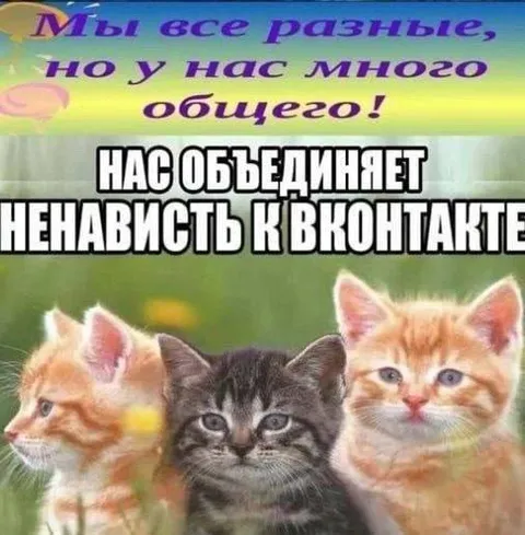 Ненависть к ВКонтакте объединяет