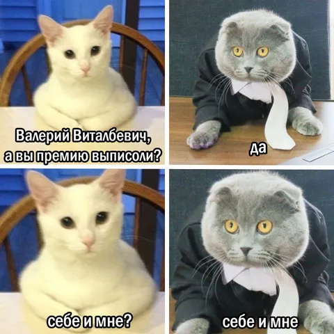 Коты выписали премию себе