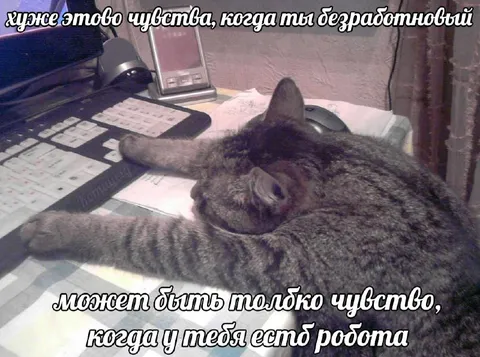 Когда ты безработный, но работа есть