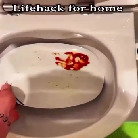 Toilet Plate Cleaning Lifehack